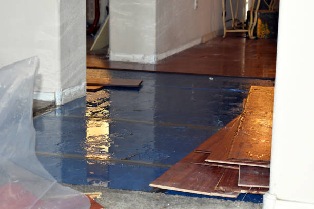Professional Emergency Water Damage Restoration technician working in Thornton, NH
